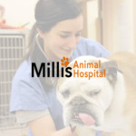 Millis Logo