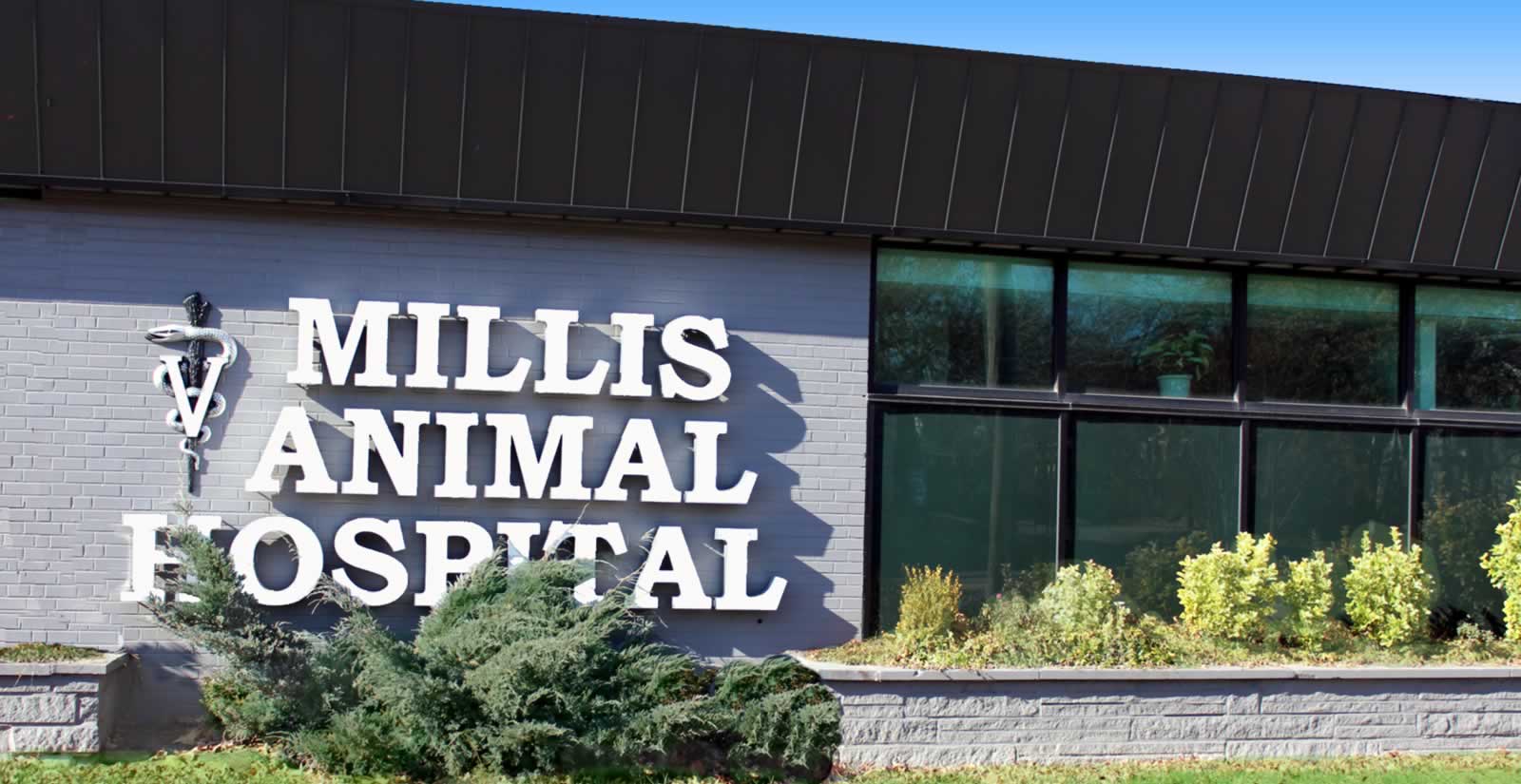 Millis Animal Hospital