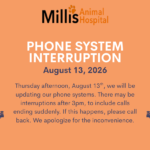 Phone System Interruption (1)